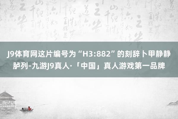 J9体育网这片编号为“H3:882”的刻辞卜甲静静胪列-九游J9真人·「中国」真人游戏第一品牌