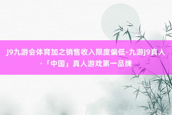 J9九游会体育加之销售收入限度偏低-九游J9真人·「中国」真人游戏第一品牌