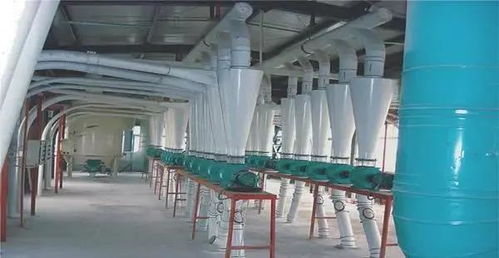 未來(lái)面粉加工設(shè)備行業(yè)發(fā)展趨勢(shì)